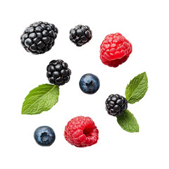 Sweet Ripe Berries Mixed on Isolated Transparent Background, Blue Berries, Raspberries, Black Berries, with Green Mint Leaf