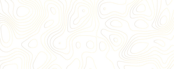 Wide Landscape Topography with Geometric Contour Patterns and Flowing Organic Curves in Elegant Gold
