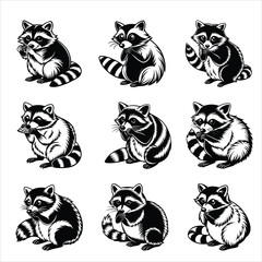 Raccoon Exploring Svg
