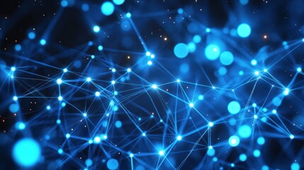 The Blue Digital Connection Network