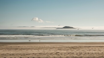 Fototapeta premium Serene beach with distant rocky island and gentle waves on the shore