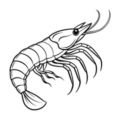 line art Shrimp fish vector