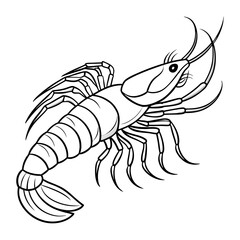 Fototapeta premium line art Shrimp fish vector