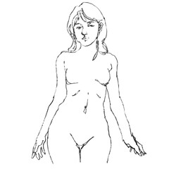 Nude female figure, contour drawing for graphic design.