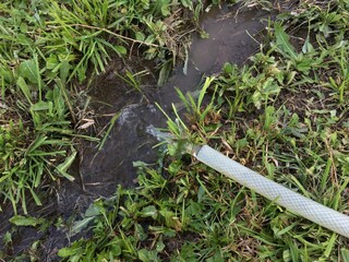 There is a garden hose with water flowing from it lying on the green grass