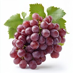 Fototapeta premium A photostock images of fresh bunch of grapes isolated on a clean white background