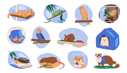 Set of vector pet or domestic animals. Collection of home companion. Dog or puppy, parrot bird and cat, iguana and tarantula spider, aquarium fish and rabbit in cage, turtle, rat, hamster, marten