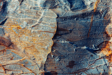 a natural rock of shale ore in cracks.