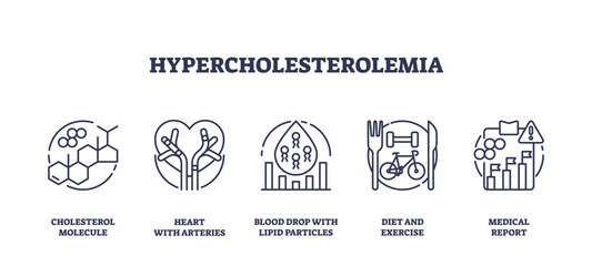 Outline icons set depicting cholesterol molecule, heart with arteries, and blood drop with lipid particles, representing hypercholesterolemia. Outline icons set.