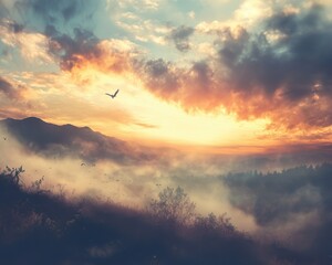 Landscape of wooded mountainous area, misty sunrise