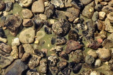 Rocks in the water