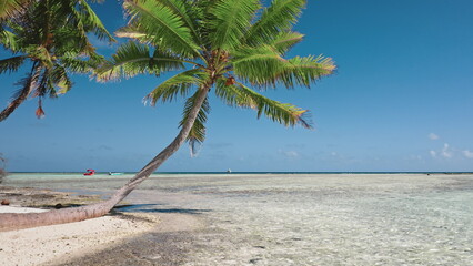 Turquoise blue water bathes white sand beach of the tropical island, with coconut palm trees...