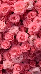 Obraz premium A wall of pink roses, numerous and beautiful, creating a romantic scene