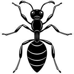 Ant, insect, bug, beetle, antenna, anthilol, colony, hardworking, black, useful , Ant logo vector illustration design