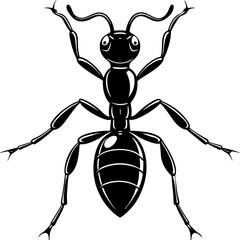 Ant, insect, bug, beetle, antenna, anthilol, colony, hardworking, black, useful , Ant logo vector illustration design