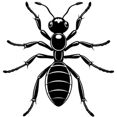 Ant logo vector illustration design