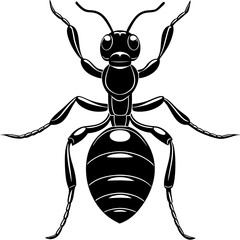 Ant logo vector illustration design