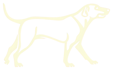 PNG Dog dog animal mammal.