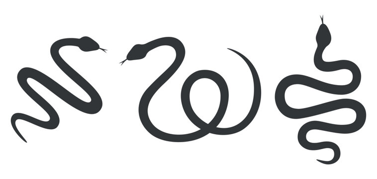 Black snake silhouettes set. Hand drawn snakes with different shapes. Wild animals or tropical nature theme. Symbol of 2025 Chinese New Year. Vector illustration on white background.