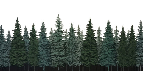 Fototapeta premium PNG Snowy pine trees backgrounds outdoors woodland.