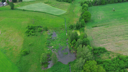 Aerial View of a Natural Pond in the Green Forest
