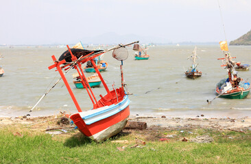 Local fishing boats