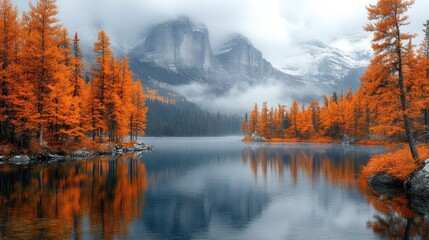 Fototapeta premium Serene autumn landscape with orange trees reflecting in calm water.