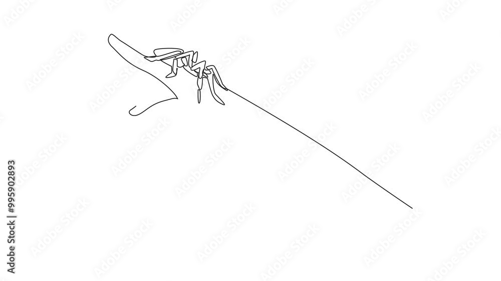 Poster self drawing animation of single line drawing big spider posing on hand. joking with pets. tarantula