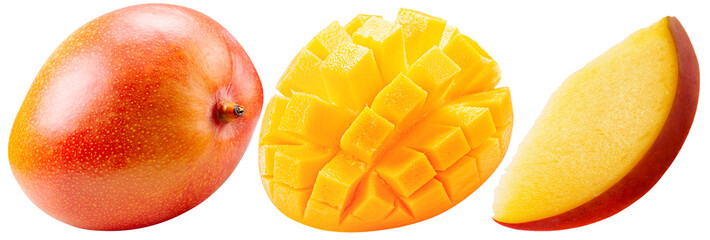 set of the mango isolated on a white background
