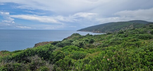 Sea green coast of Parco Punta Falcone, Italy. June 25, 2024. Beautiful view of blue sea water and green coast nature.
