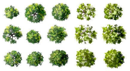 Vector of green tree side view isolated on white background ,watercolor tree elevation for landscape concept,environment scene,eco design, garden for spring