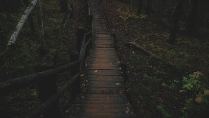 Wooden steps of stairs down in scary autumn forest. Escape from haunted castle. Gloomy atmosphere of twilight witch forest video 4K for Halloween design. Lost on night of full moon. Fall season nature