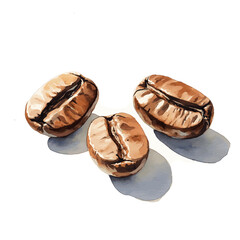 watercolor light brown and white 3 coffee beans on white background