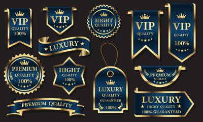 Blue golden luxury premium quality label badges on grey background vector