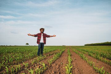 Young happy farmer with arms outstretched is standing in his growing corn field.	