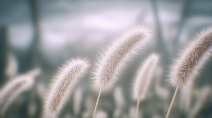  a specific grass or herb on the field, background is nature.