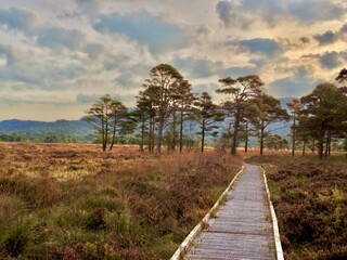 Path over moorland with dramatic sky