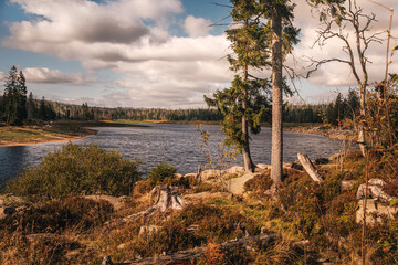 Urige Landschaft um den Oderteich