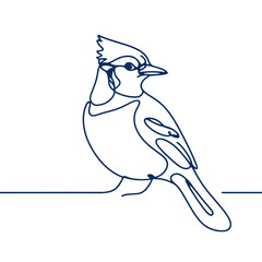 A blue bird with a white head and black wings. The bird is standing on a white background