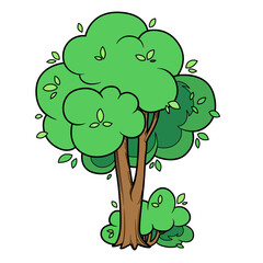 Tall lush foliar tree color variation isolated on white background