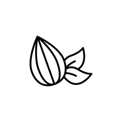 Almond outline icons, minimalist vector illustration ,simple transparent graphic element .Isolated on white background