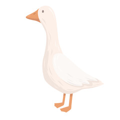 Isolated goose is standing on white background.