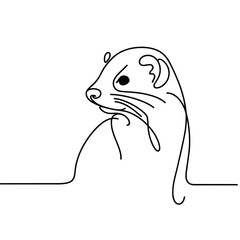 A black and white drawing of a small animal with a long snout and a long tail. The animal is looking at the camera with a curious expression