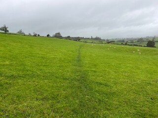 Rolling green field with a faint footpath leading to distant farm buildings under an overcast sky