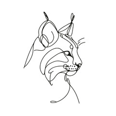 A cat with a long tail and a pointy nose. The cat is looking at the camera