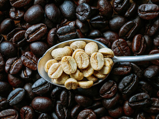 Top view green coffee bean on a stainless steel spoon on roasted coffee bean  background, Close-up, Close-up of unroasted coffee bean