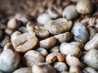 Green coffee beans poured out of a brown sack, Close-up of unroasted coffee bean, macro