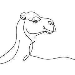 A camel is drawn in a line drawing style. The camel has a big nose and is smiling