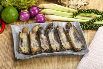 Raw fresh Razor clam mollusk