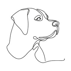 A dog with a black nose and a white muzzle. The dog has a black and white face